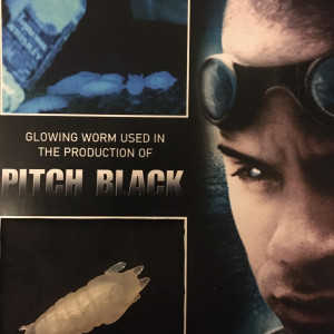Bioslug used in the Production of Pitch Black – Pitch Black (2000)
