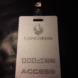 Concordia pass – V (2009)