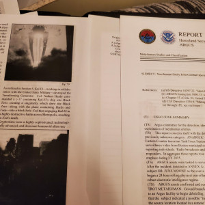 ARGUS MAN of steel homeland security report – Suicide Squad (2016)