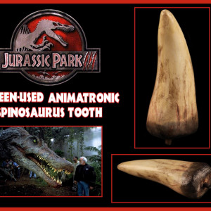 Screen Used Spinosaurus Tooth – Jurassic Park 3 (2020)