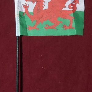 UN Welsh Car Flag (The Pyramid at the End of the World) – Doctor Who: Time War (2017)
