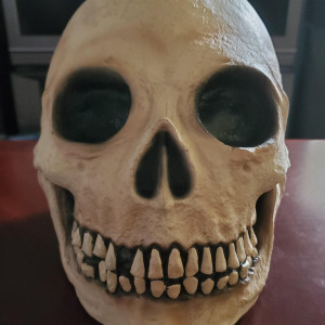 (Skull) Set Decoration. – Hell Fest (2018)