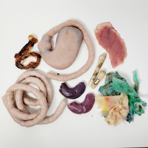 Various Assortment of Body Parts/Internals – Dexter (2006)