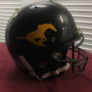 Prop football helmet from “Gridiron Gang” Columbia Pictures COA – Gridiron Gang (2006)