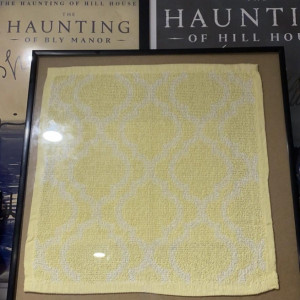 Bly Manor Cleaning Cloth