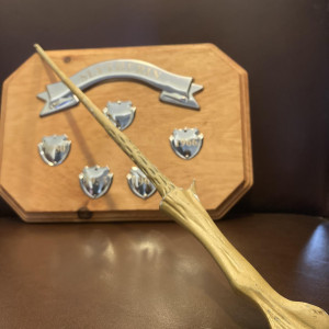 Voldemort’s Wand (Stunt) – Harry Potter and the Goblet of Fire (2005)