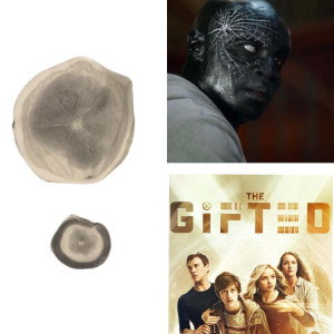 Appliances – The Gifted (2017)