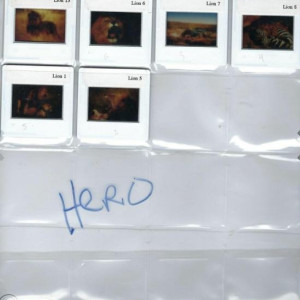 Dr.P’s Screen Used Hero Lion Slides – School for Scoundrels (2006)