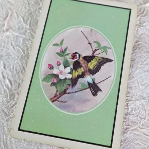 Playing Card