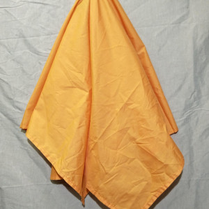 Orange Tablecloth – Elvis (2022)