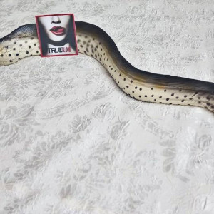 Rubber Moray Eel – True Blood (2008)