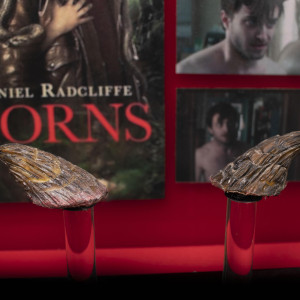 Ig's small set of Horns – Horns (2013)