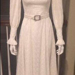 Linda Lovelace’s (Amanda Seyfried) Dress – Lovelace (2013)