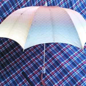 Beale Street Umbrella – Elvis (2022)