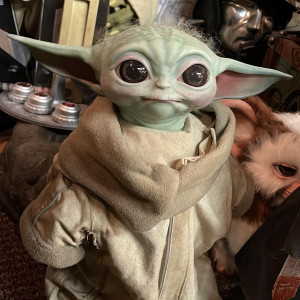 Baby Grogu – Star Wars: Wrath of the Mandalorian (2008)