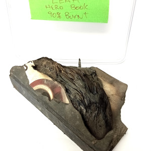 Leah\'s Hero Burnt Book – The Wilds (2020)