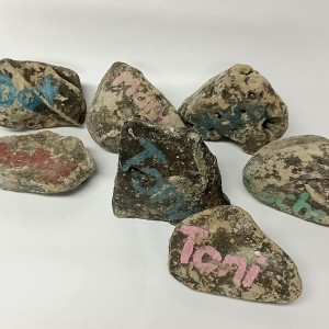 Fatin\'s Chore Rocks – The Wilds (2020)