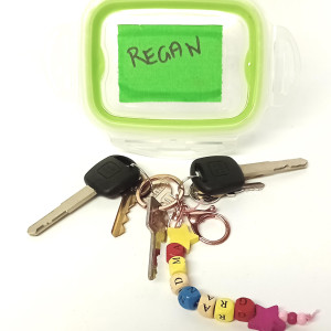 Regan Car Keys Keychain – The Wilds (2020)