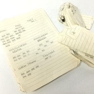 Inventory List Pages – The Wilds (2020)