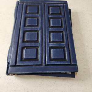 River Song Diary – Doctor Who (2005)