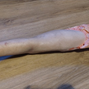 Screen-used VFX bloody arm – Pain & Gain (2013)