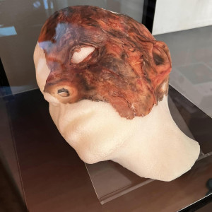 Burnt FX makeup test – BD Scream 5 (2013)