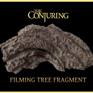Filming Tree Fragment – The Conjuring (2013)