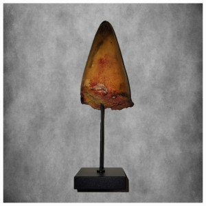 Crocodile Tooth – Lake Placid (1999)