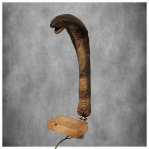 King Cobra animatronic used in prison cell – The Exorcist III (1990)