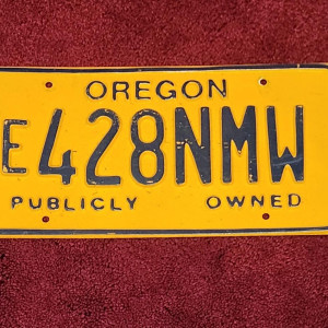 Sheriff Romeros License Plate – Bates Motel (2013)