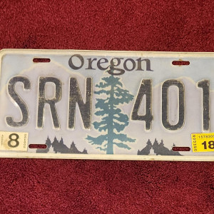 Emmas License Plate – Bates Motel (2013)