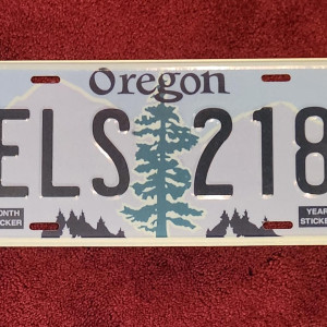 Background License Plate – Bates Motel (2013)