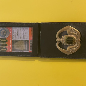 GDD badge – Caprica (2009)