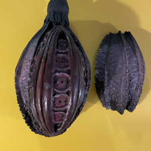 Hero tree pod – Æon Flux (2005)