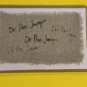 D\\\'avin Pim Jaeger writings – Killjoys (2015)
