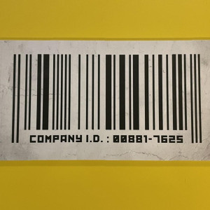 The Company license plate – The Librarians (2014)
