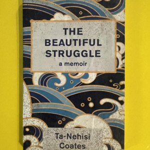 The beautiful struggle book – Fahrenheit 451 (2018)