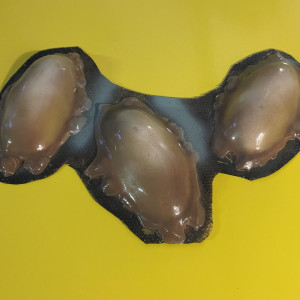creature eggs – Surface (2005)