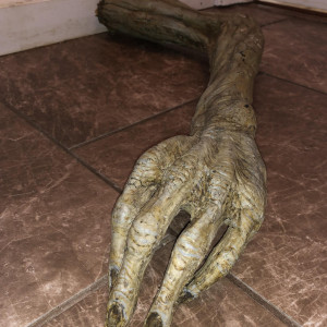 Unknown Zombie-Like Foam Latex Arm