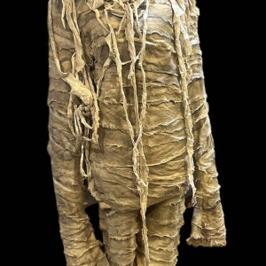 Mummy Costume – DC's Legends of Tomorrow: Their Time Is Now (2016)