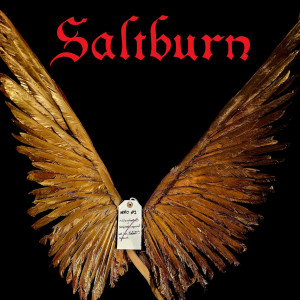 Felix (Jacob Elordi) Screen Used Wings – Saltburn (2023)