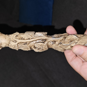 Mikael Mikaelson white oak stake – The Originals (2013)