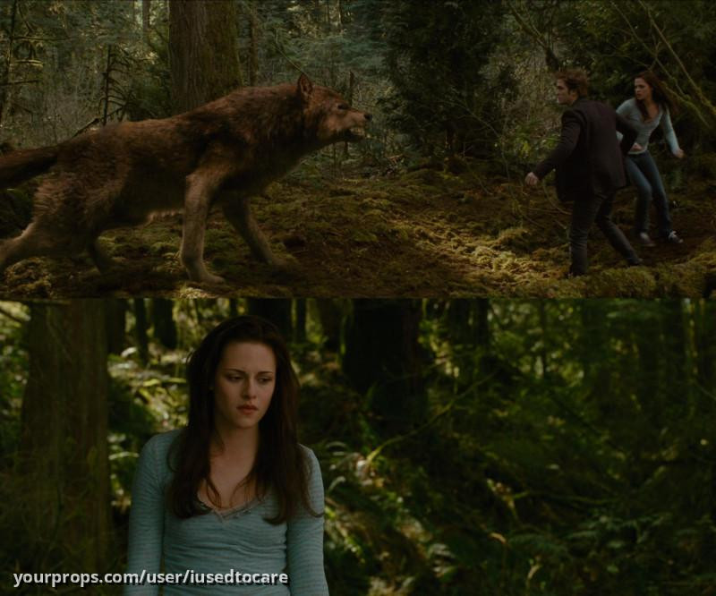 Bella (Kristen Stewart) screen worn costume – The Twilight Saga: New Moon (2009) – image 4