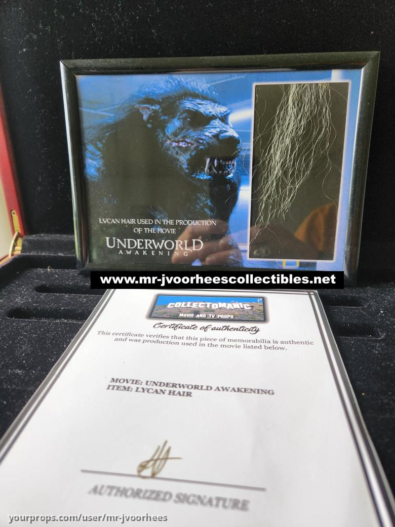 Underworld Awakening 2012 Piece of Lycan Werewolf Hair Prop – Underworld: Awakening (2012) – image 1