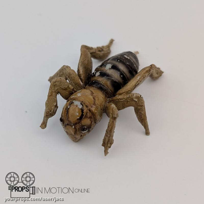 Bathroom Bug – The Unborn (2009) – image 1