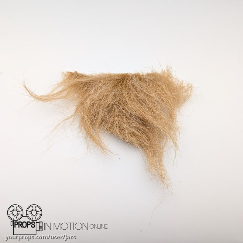 Piece of Max Hair – How the Grinch Stole Christmas (2000) – image 1