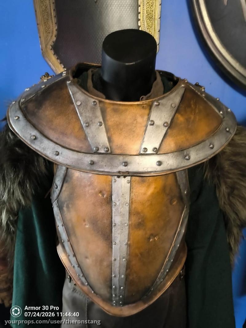 Helfdane stunt armor – The 13th Warrior (1999) – image 1