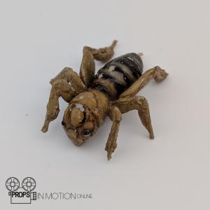 Bathroom Bug – The Unborn (2009)