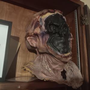 Jason's FX head – Jason Goes to Hell: The Final Friday (1993)