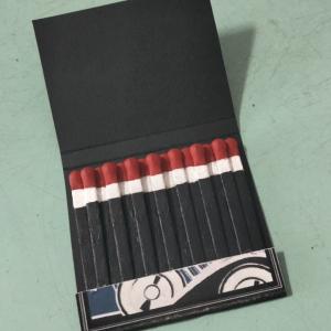 Dollphin Hotel matchbook – 1408 (2007)